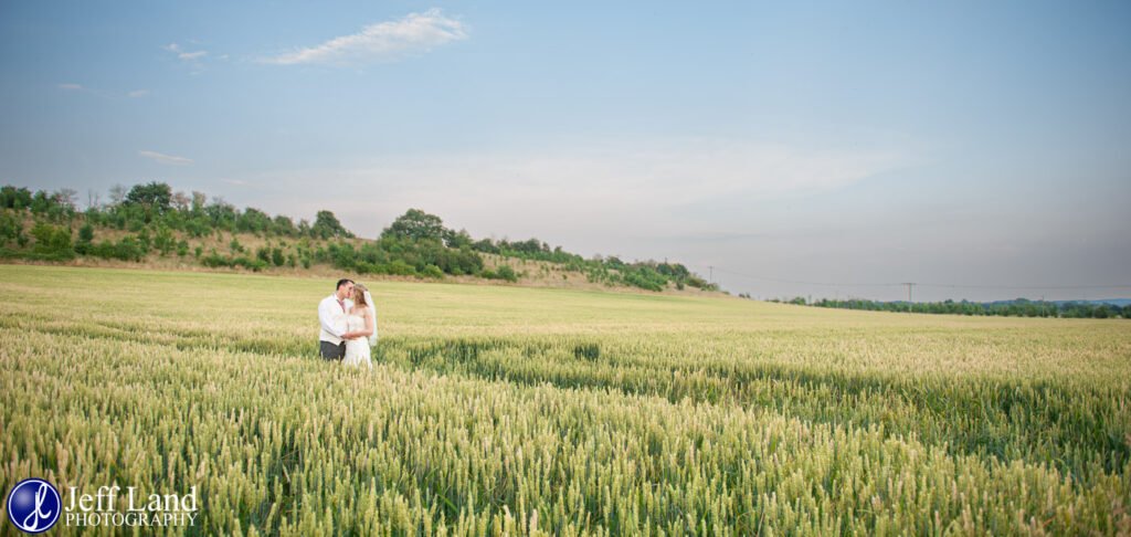 Bride and Groom in Corn Feild at Wootton Park Panoramic