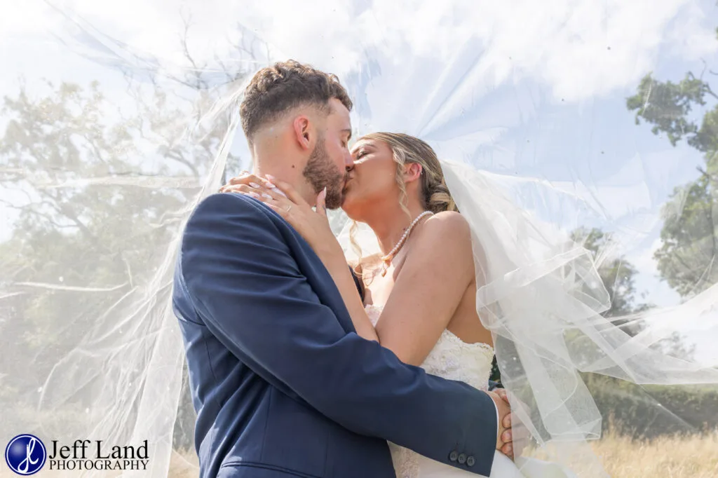 Manor Hill House Bridal portrait under veil